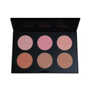 Professional 6-seater Blush PRO Palette (14g)