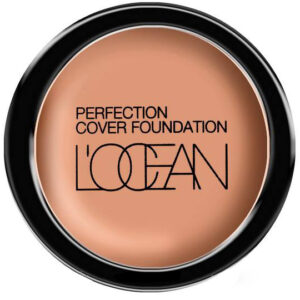 Concealer: PERFECTION Cover Foundation